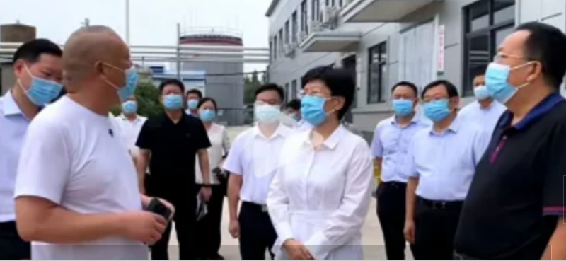 焦作市委書記葛巧紅一行蒞臨旭瑞集團參觀調(diào)研！